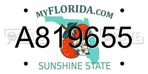 A819655 Florida License Plate