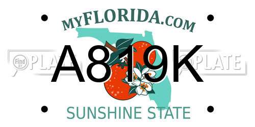 A819K Florida License Plate