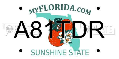 A81TDR Florida License Plate