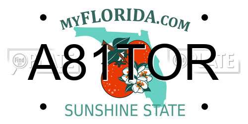 A81TOR Florida License Plate