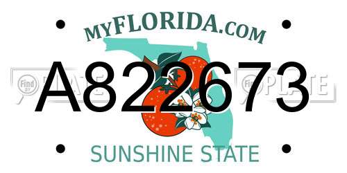 A822673 Florida License Plate
