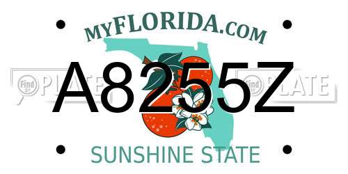 A8255Z Florida License Plate