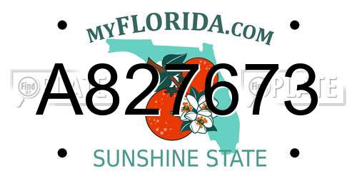 A827673 Florida License Plate