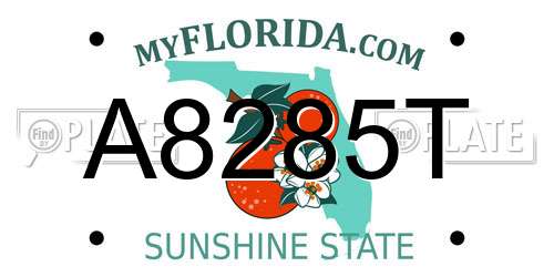 A8285T Florida License Plate