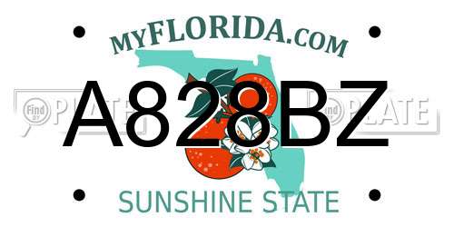 A828BZ Florida License Plate