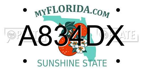 A834DX Florida License Plate