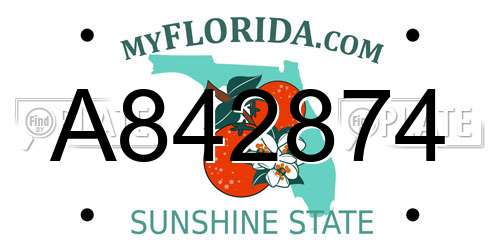 A842874 Florida License Plate