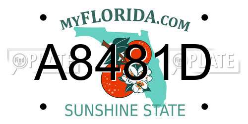 A8481D Florida License Plate