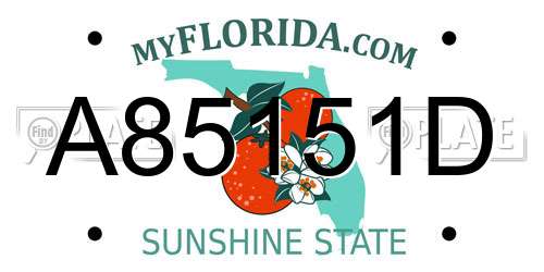 A85151D Florida License Plate