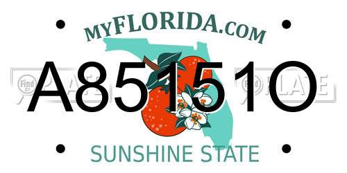 A85151O Florida License Plate
