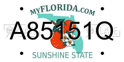 A85151Q Florida License Plate