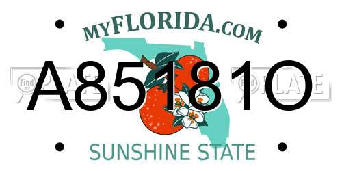 A85181O Florida License Plate