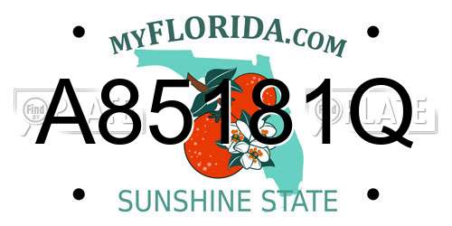 A85181Q Florida License Plate