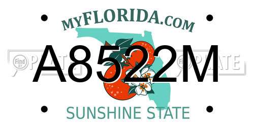 A8522M Florida License Plate