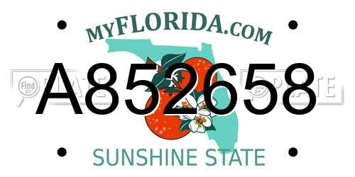 A852658 Florida License Plate