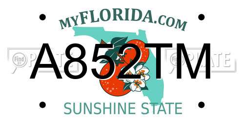 A852TM Florida License Plate