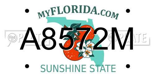 A8572M Florida License Plate