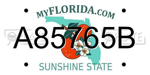A85765B Florida License Plate