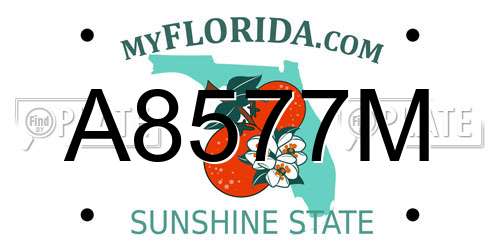 A8577M Florida License Plate