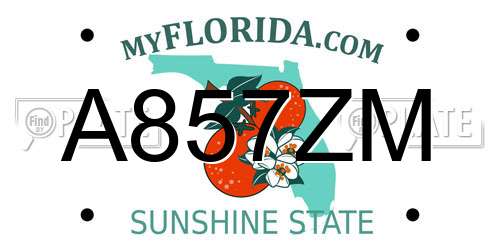 A857ZM Florida License Plate