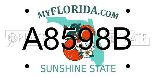 A8598B Florida License Plate