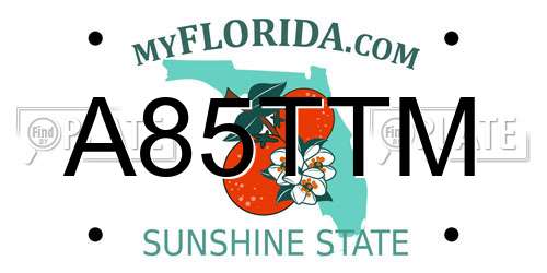 A85TTM Florida License Plate