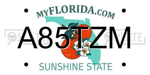 A85TZM Florida License Plate