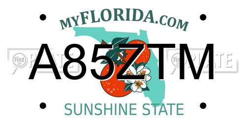 A85ZTM Florida License Plate