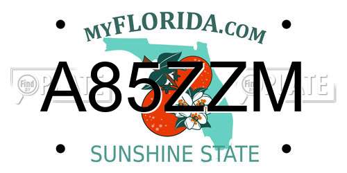 A85ZZM Florida License Plate