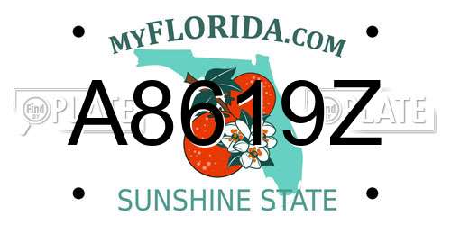 A8619Z Florida License Plate