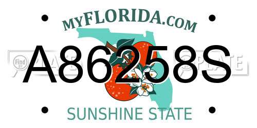 A86258S Florida License Plate
