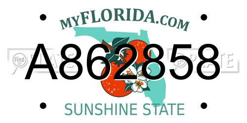 A862858 Florida License Plate