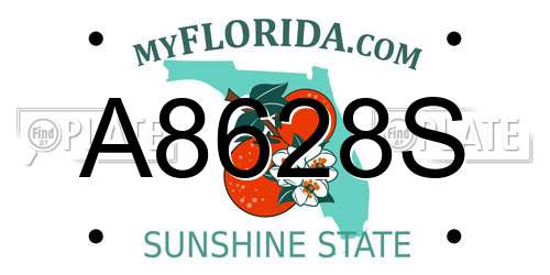 A8628S Florida License Plate