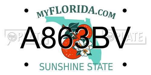 A863BV Florida License Plate