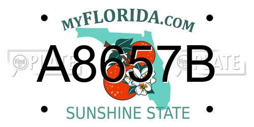 A8657B Florida License Plate