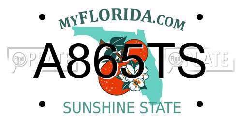 A865TS Florida License Plate