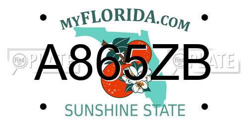 A865ZB Florida License Plate