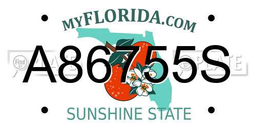 A86755S Florida License Plate