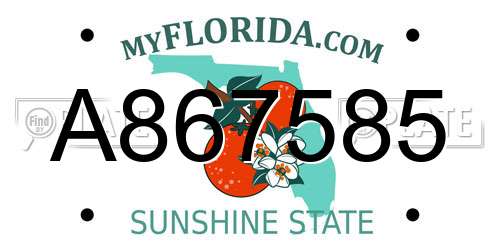 A867585 Florida License Plate