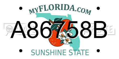 A86758B Florida License Plate