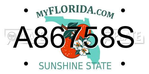 A86758S Florida License Plate