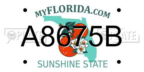 A8675B Florida License Plate