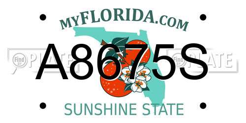 A8675S Florida License Plate