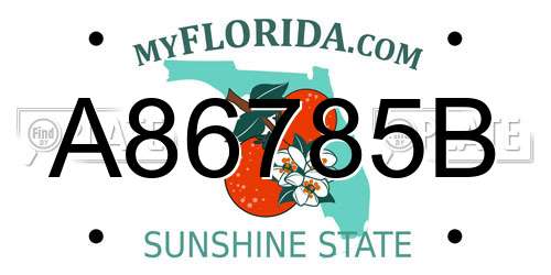 A86785B Florida License Plate
