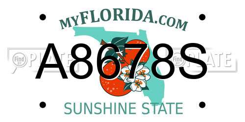 A8678S Florida License Plate