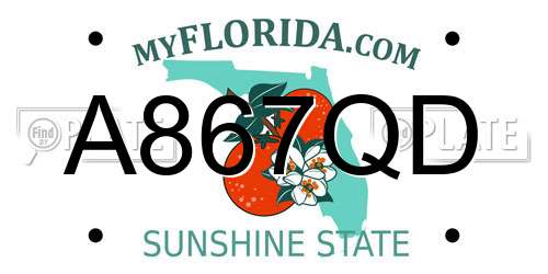 A867QD Florida License Plate