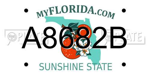 A8682B Florida License Plate