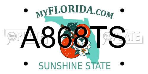A868TS Florida License Plate
