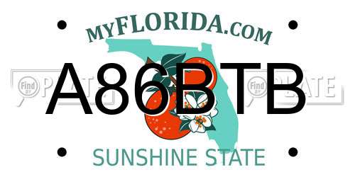 A86BTB Florida License Plate