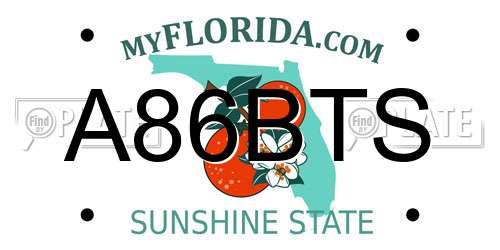 A86BTS Florida License Plate